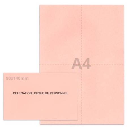 Kit élection DUP rose clair