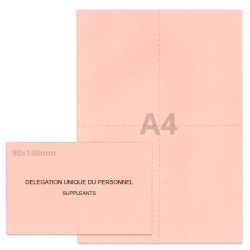 Kit élection DUP rose clair