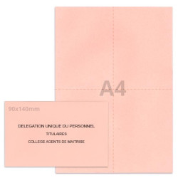 Kit élection DUP rose clair