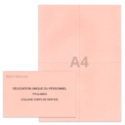 Kit élection DUP rose clair