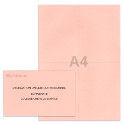 Kit élection DUP rose clair