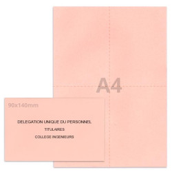 Kit élection DUP rose clair