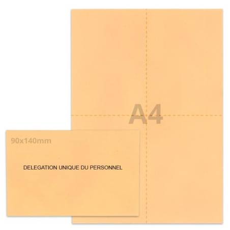 Kit élection DUP saumon