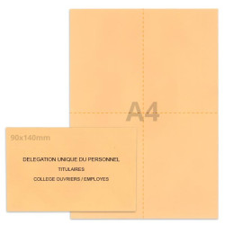 Kit élection DUP saumon