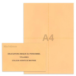 Kit élection DUP saumon