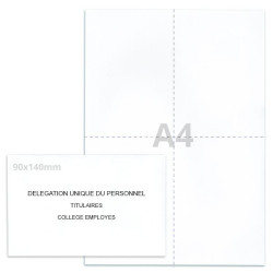 Kit élection DUP blanc