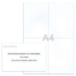 Kit élection DUP blanc