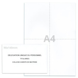 Kit élection DUP blanc