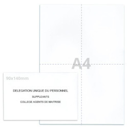 Kit élection DUP blanc