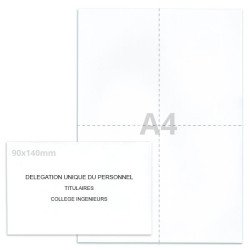 Kit élection DUP blanc