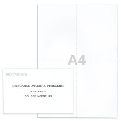 Kit élection DUP blanc