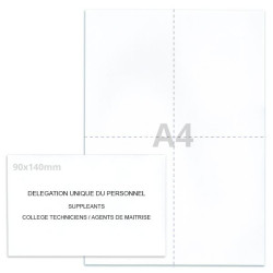 Kit élection DUP blanc