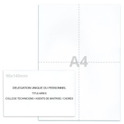 Kit élection DUP blanc