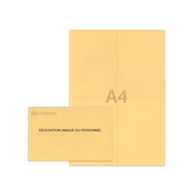 Kit élection DUP beige Kit élection DUP beige