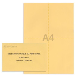 Kit élection DUP beige