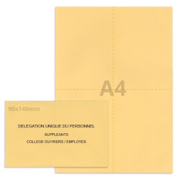 Kit élection DUP beige