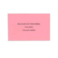 Délégués du Personnel Rose Vif