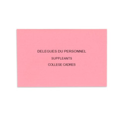 Délégués du Personnel Rose Vif