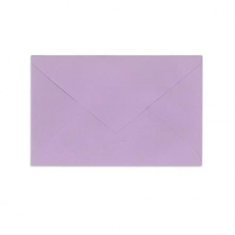 CHSCT lilas