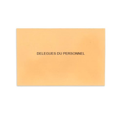 Délégués du Personnel Saumon