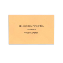 Délégués du Personnel Saumon