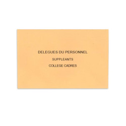 Délégués du Personnel Saumon