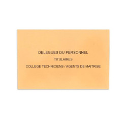 Délégués du Personnel Saumon