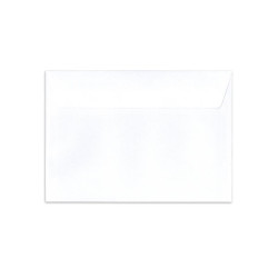 Enveloppe T 110x220 DL
