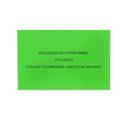 Délégués du Personnel Vert Vif