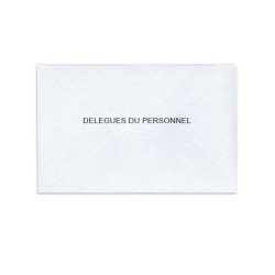 Délégués du Personnel Blanc