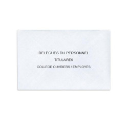 Délégués du Personnel Blanc