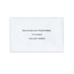 Délégués du Personnel Blanc