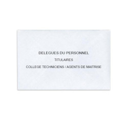 Délégués du Personnel Blanc