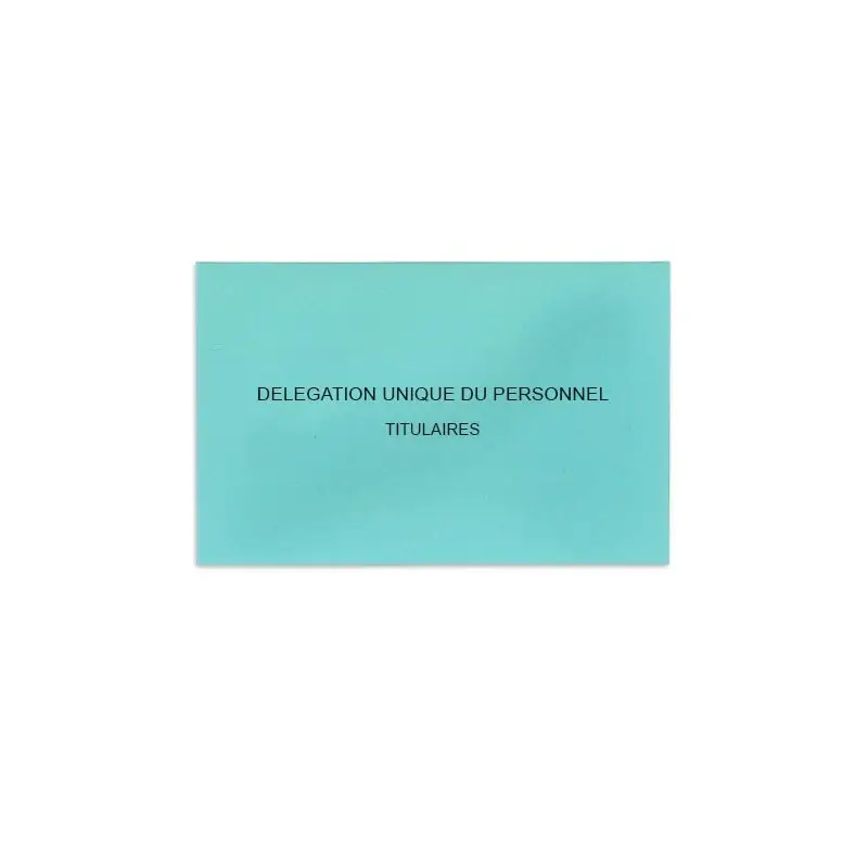 Délégation Unique du Personnel Bleu Clair