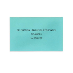 Délégation Unique du Personnel Bleu Clair