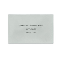 Délégués du Personnel Gris