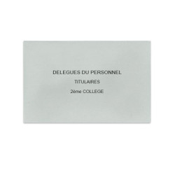 Délégués du Personnel Gris