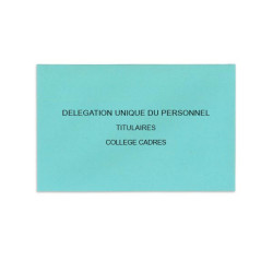 Délégation Unique du Personnel Bleu Clair