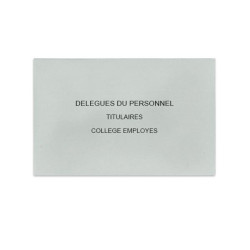 Délégués du Personnel Gris