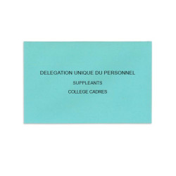 Délégation Unique du Personnel Bleu Clair