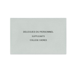Délégués du Personnel Gris