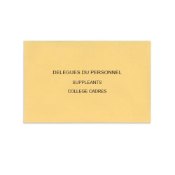 Délégués du Personnel Beige