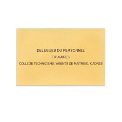 Délégués du Personnel Beige