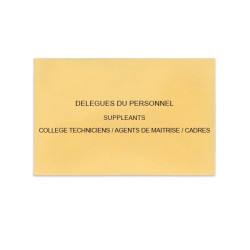 Délégués du Personnel Beige