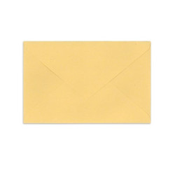 Délégués du Personnel Beige