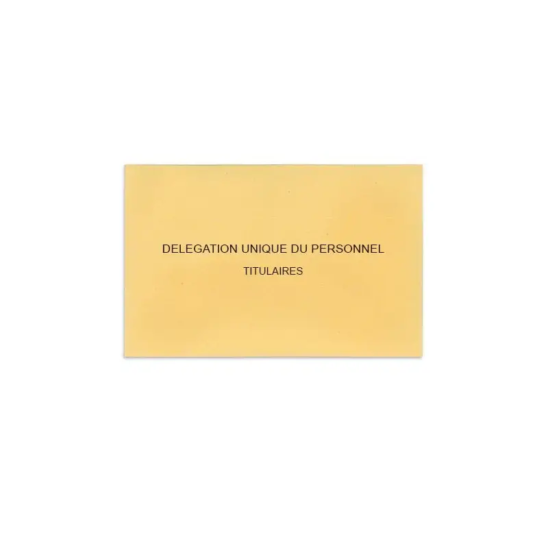 Délégation Unique du Personnel Beige