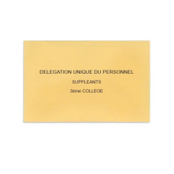 Délégation Unique du Personnel Beige
