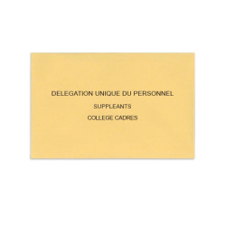 Délégation Unique du Personnel Beige