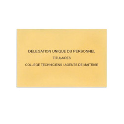 Délégation Unique du Personnel Beige