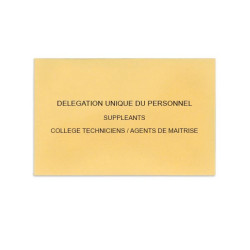 Délégation Unique du Personnel Beige